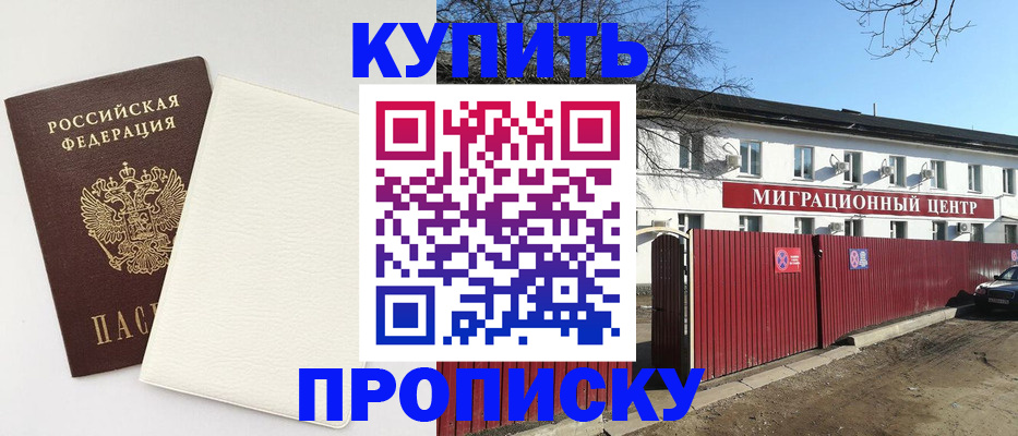 где прописаться в Стародубе
